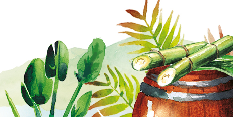 Le savoir-faire <br> Old Nick