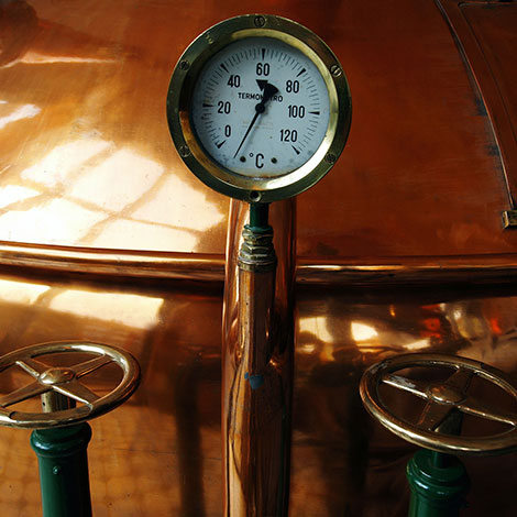 La fermentation  en alcool