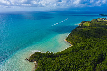 Vue du ciel d'une forêt tropicale de Guadeloupe