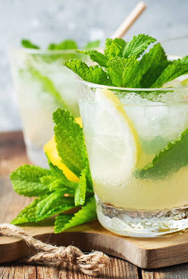 Mojito au Thermomix